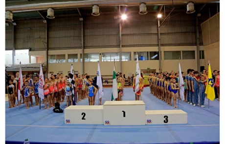 31118517_1533025246826753_3242214822556729344_n